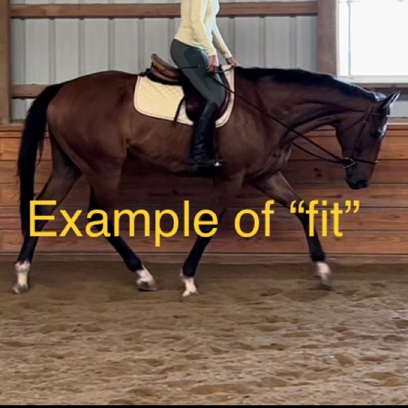 NEW Pink - Lettia saddle pad/bonnet for English jumping saddles and horse/full - Picture 2 of 3